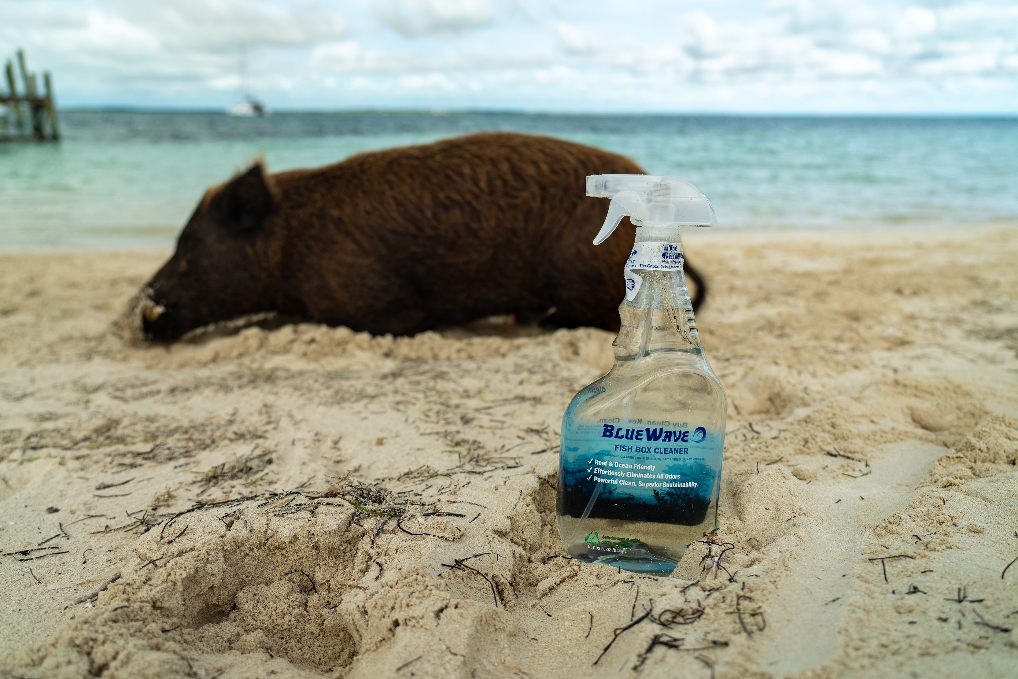 blue wave fish box cleaner WAVESRX SALT-NEUTRALIZING BOAT SOAP (EPICWASH) + MARINE ENGINE FLUSH (EPICFLUSH) + BILGEPODS This makes it a standout auto pool vacuum option for pool owners who want to save time and reduce energy use without compromising on performance BlueWave